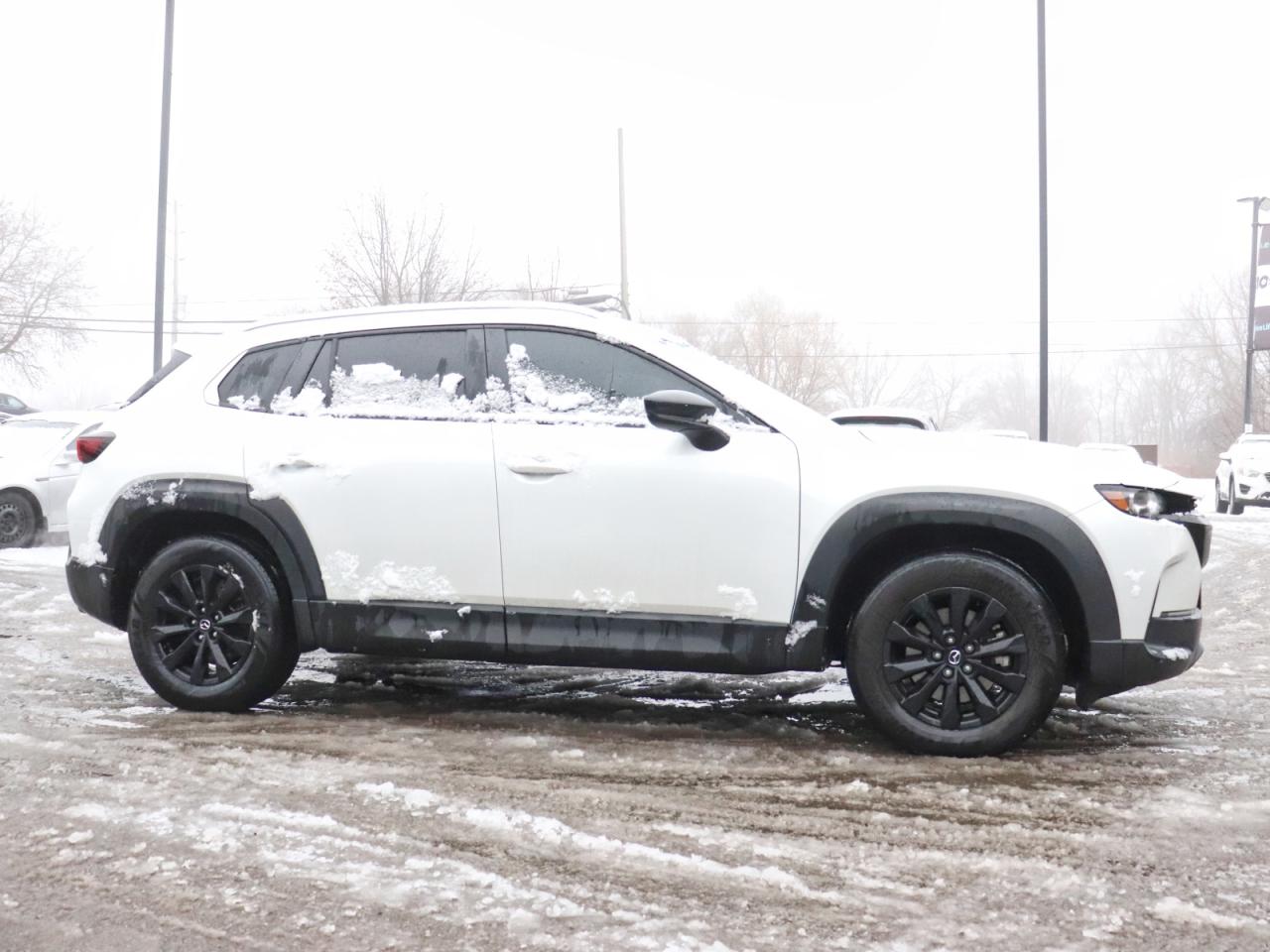 2024 Mazda CX-50 GS-L AWD Photo2