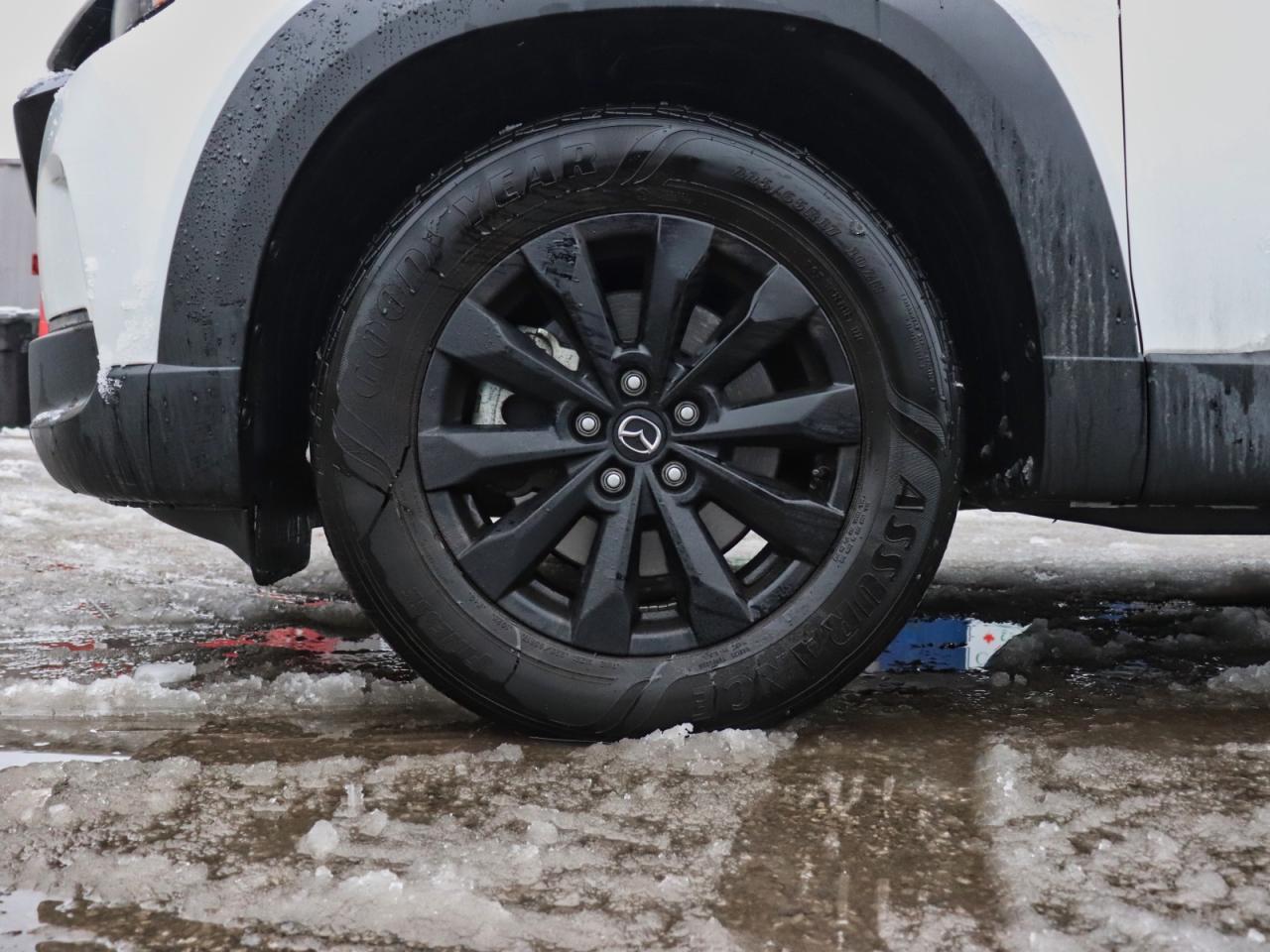 2024 Mazda CX-50 GS-L AWD Photo