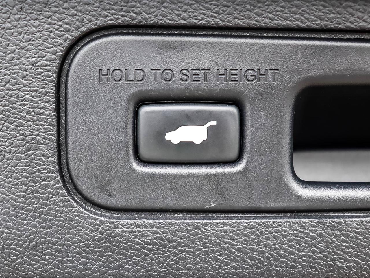 2019 Honda Odyssey EXL RES Photo