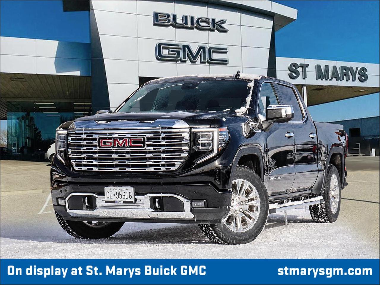 2025 GMC Sierra 1500 Denali Photo0