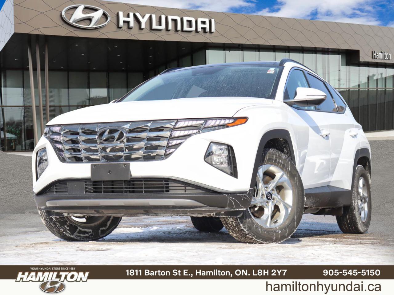 2024 Hyundai Tucson Trend - Leather | Sunroof | 4.99% Finance Available Photo0