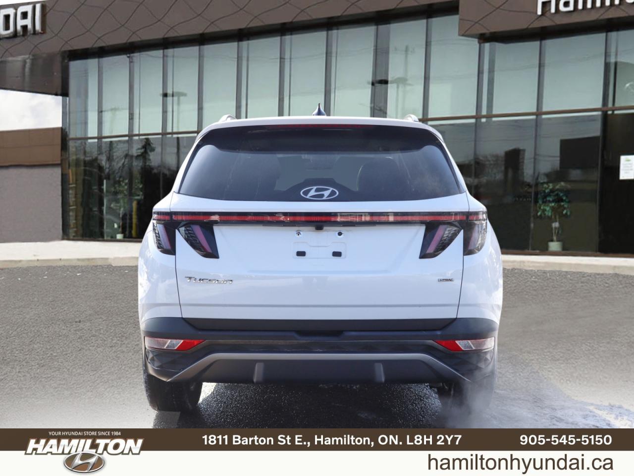 2024 Hyundai Tucson Trend - Leather | Sunroof | 4.99% Finance Available Photo