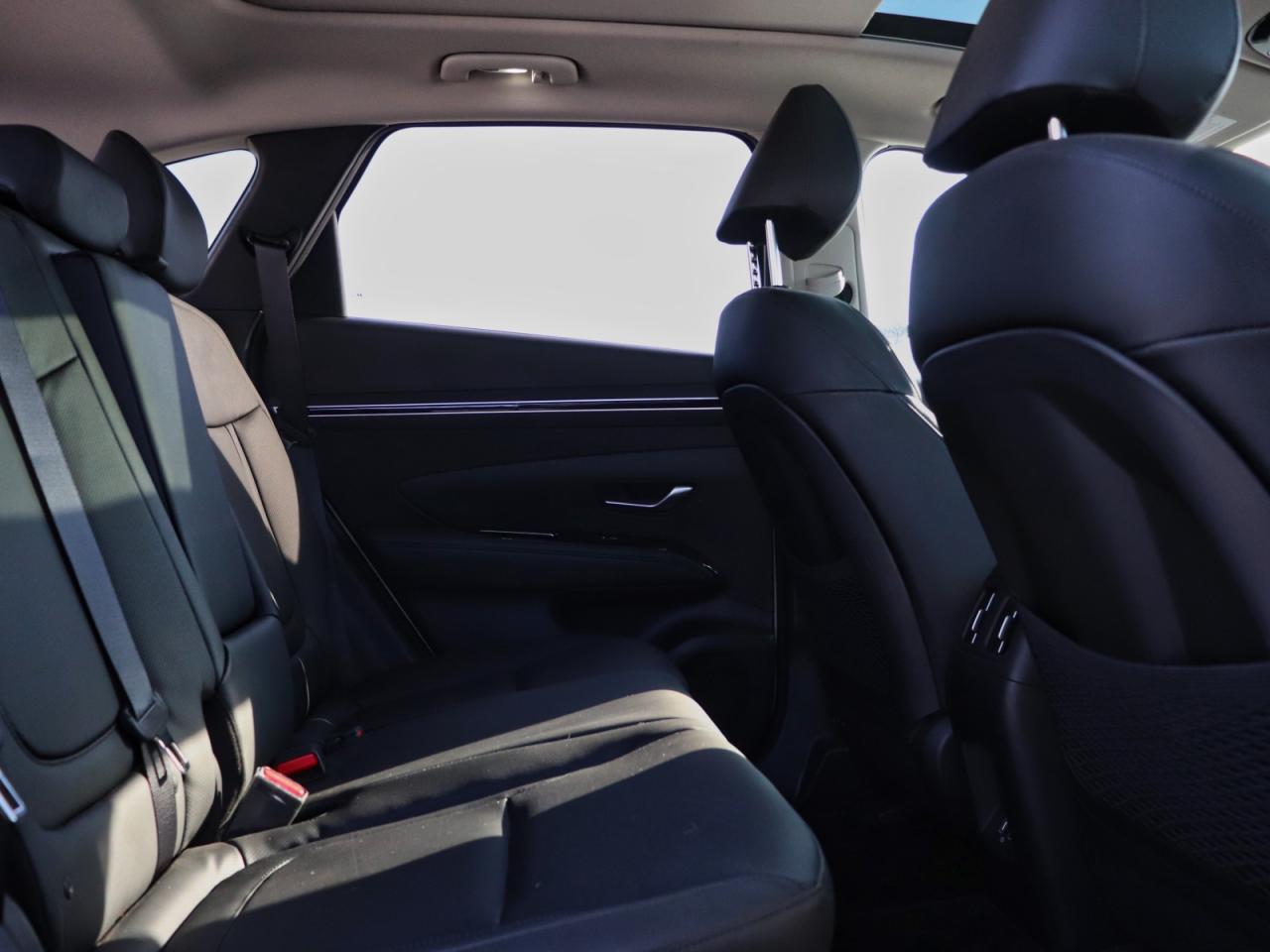 2024 Hyundai Tucson Trend - Leather | Sunroof | 4.99% Finance Available Photo