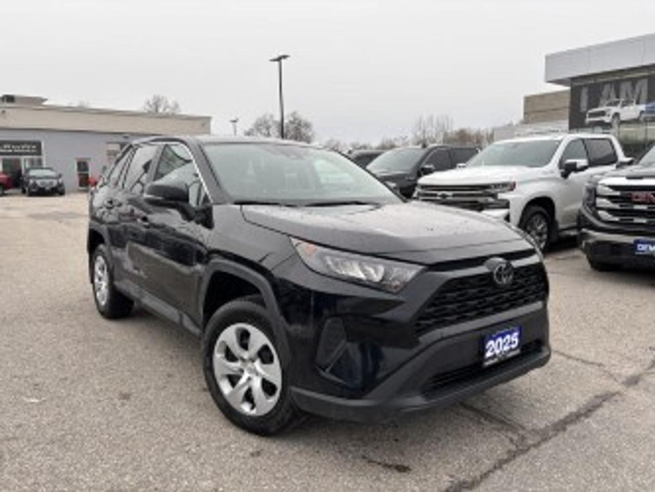 2025 Toyota RAV4 LE- Photo