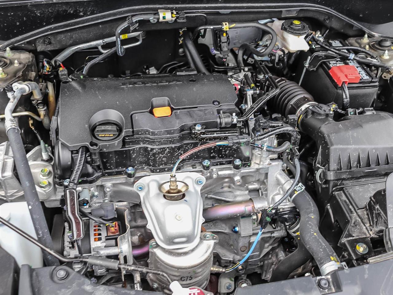 2026 Honda HR-V Sport Photo