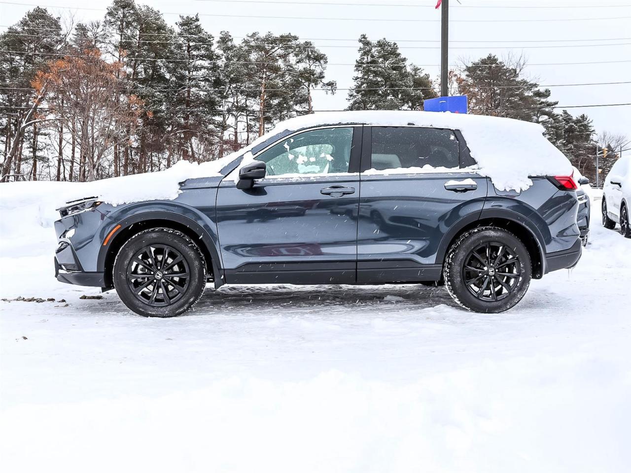 2024 Honda CR-V EX-L Photo