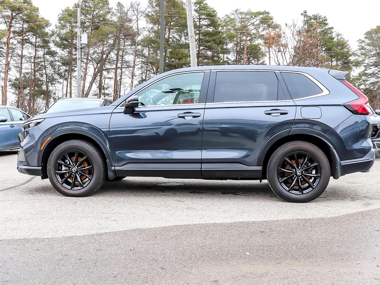 2024 Honda CR-V EX-L Photo