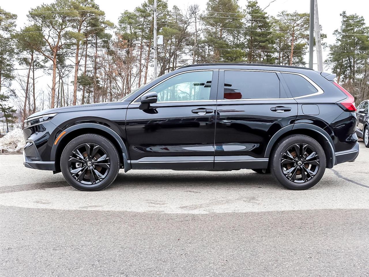 2023 Honda CR-V Hybrid Touring Photo