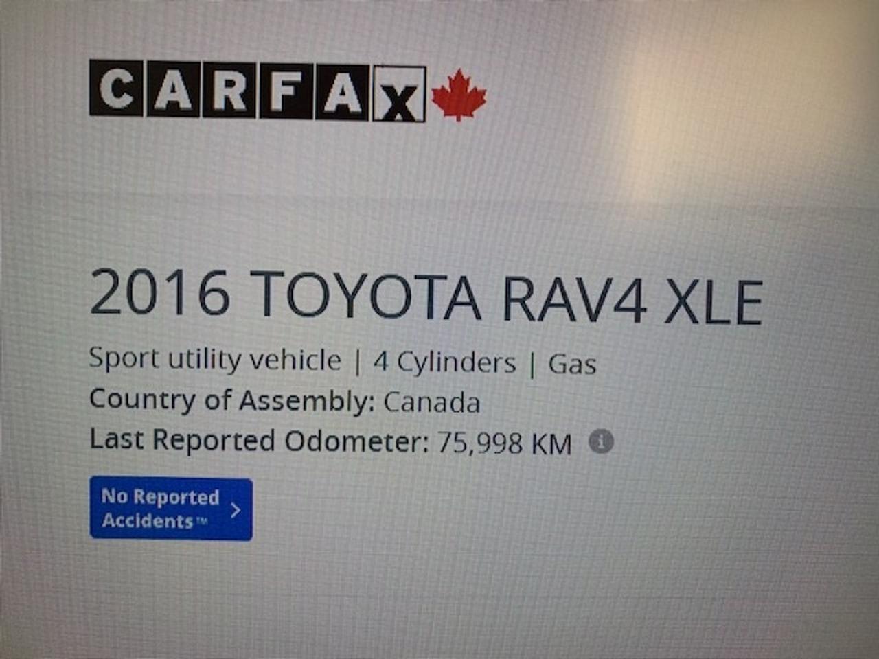 2016 Toyota RAV4 XLE Photo