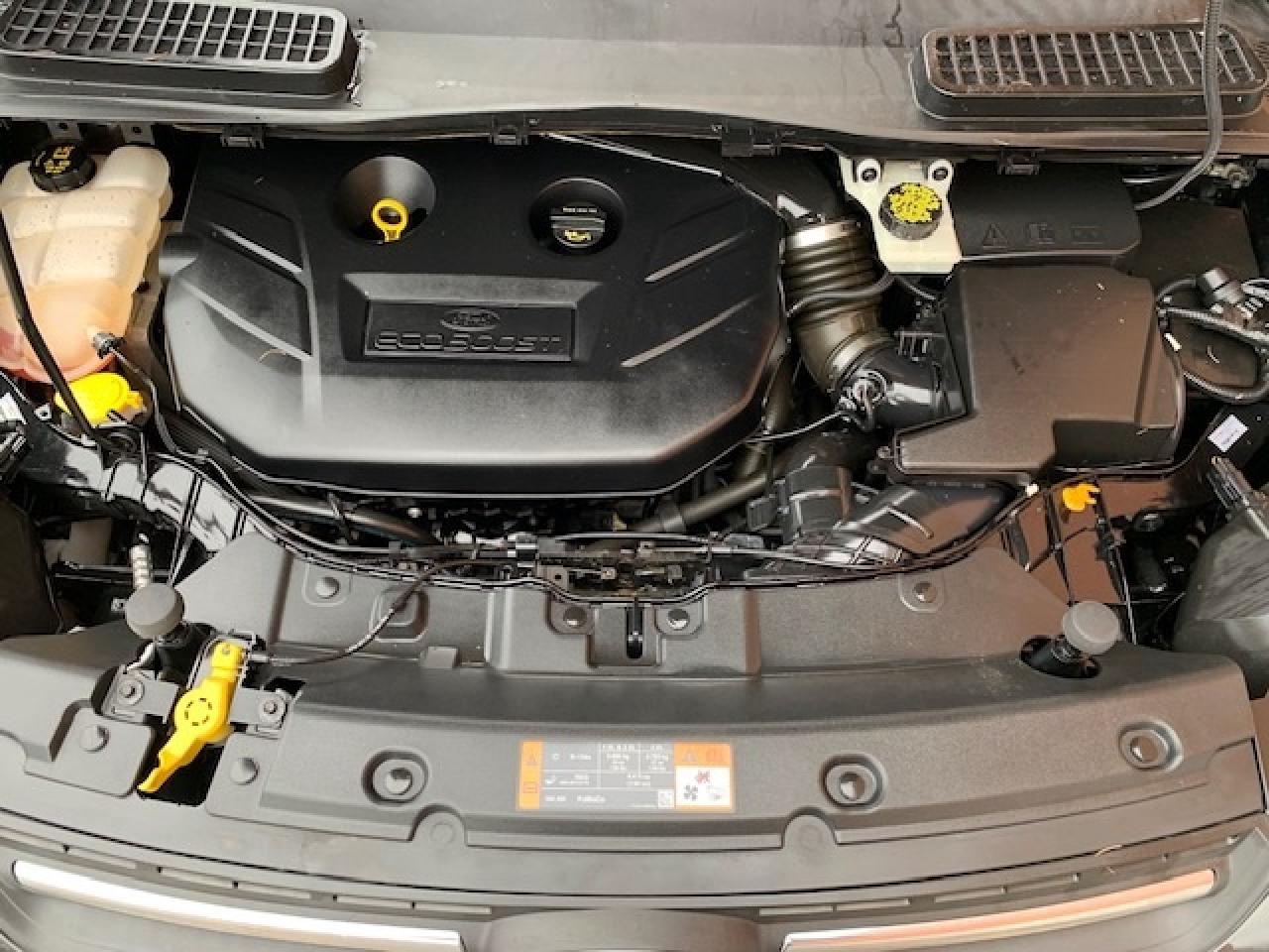 2015 Ford Escape SE Photo