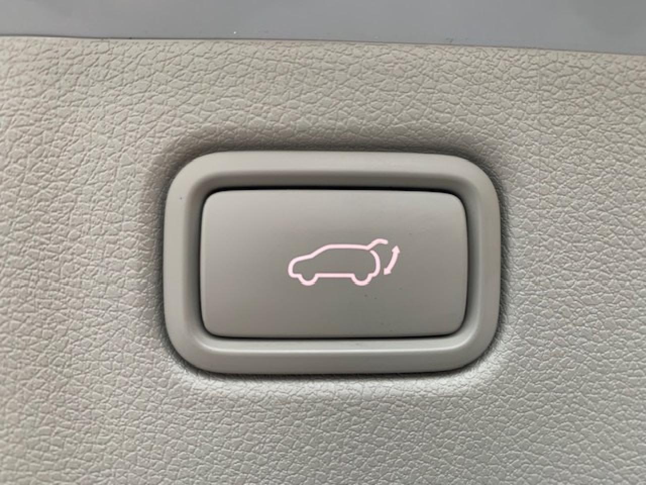 2021 Kia Sedona LX+ Photo