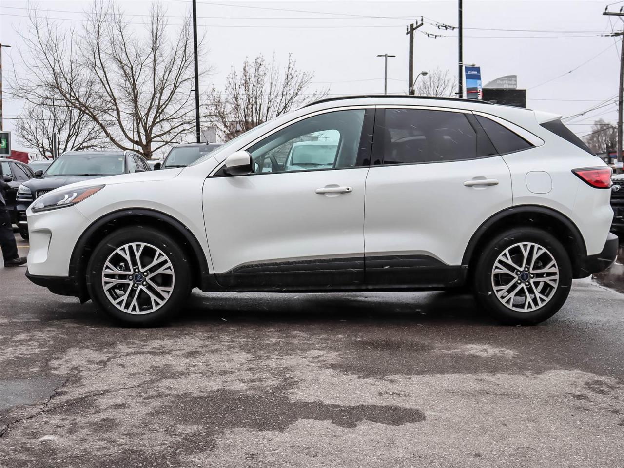 2022 Ford Escape SEL Photo