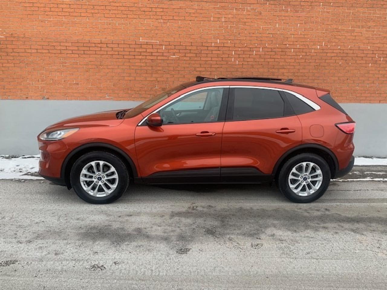 2020 Ford Escape SE AWD Photo