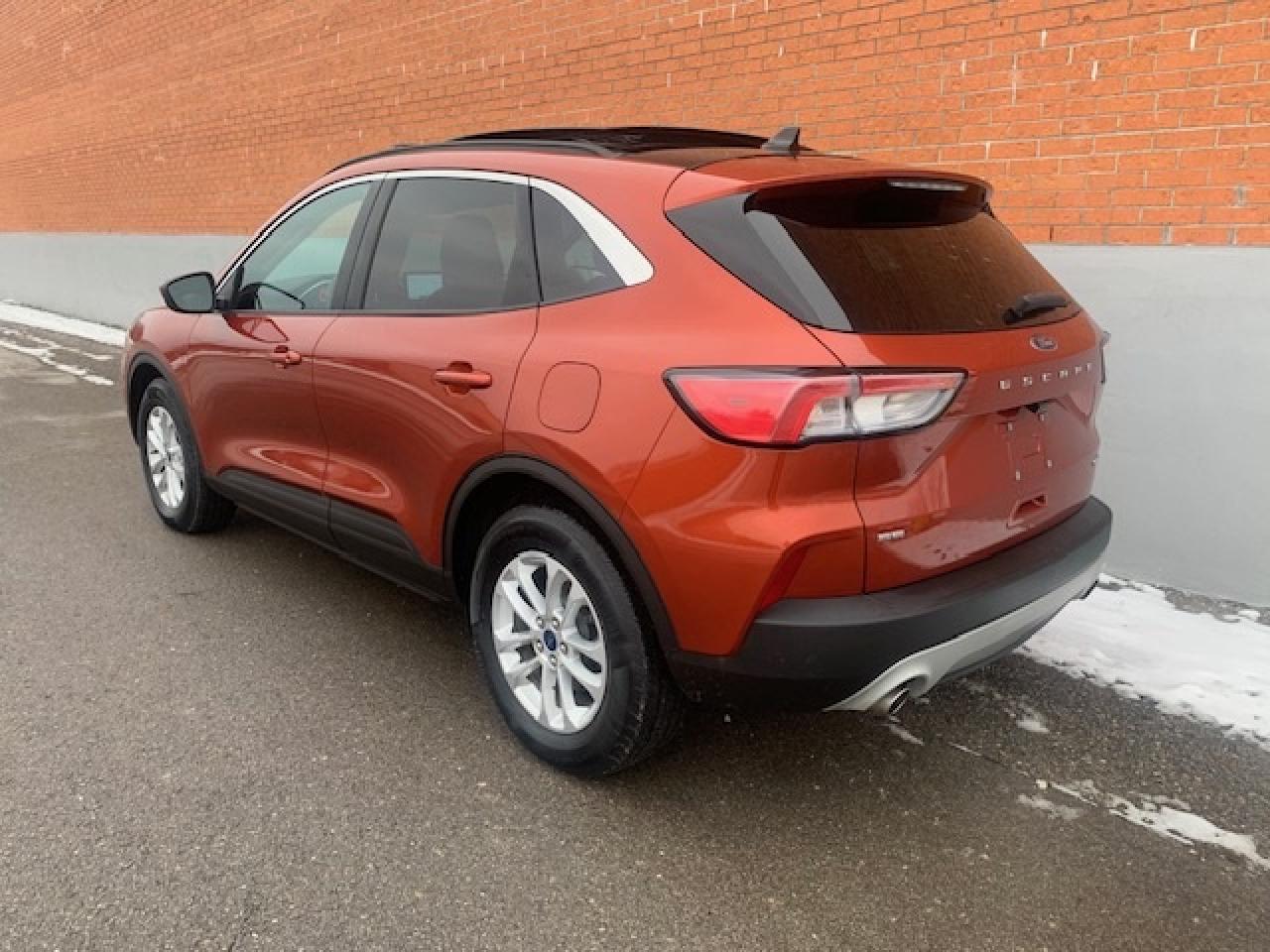 2020 Ford Escape SE AWD Photo