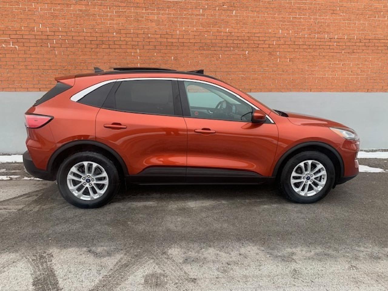 2020 Ford Escape SE AWD Photo