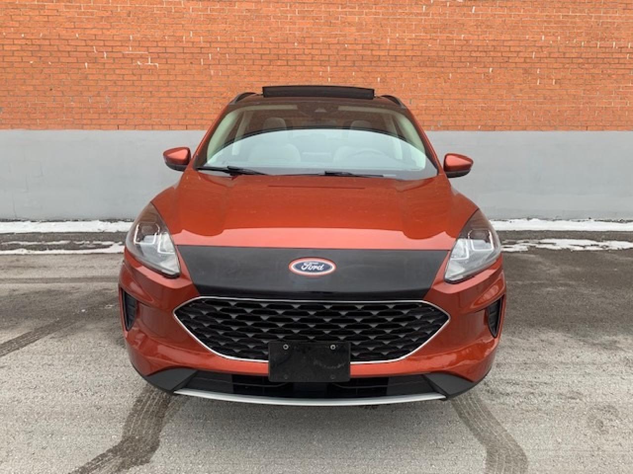 2020 Ford Escape SE AWD Photo