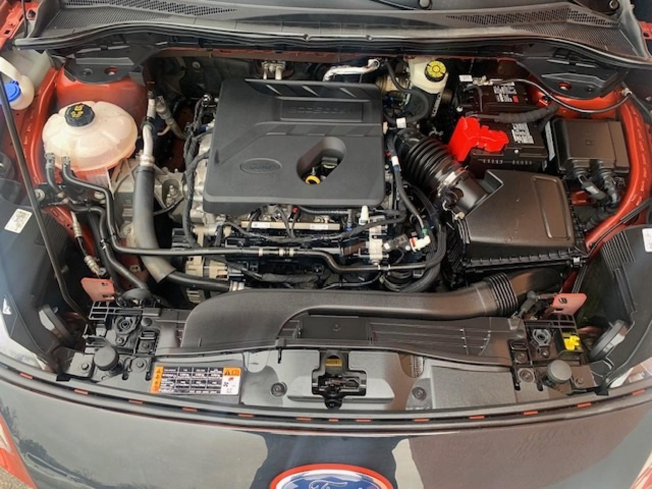 2020 Ford Escape SE AWD Photo