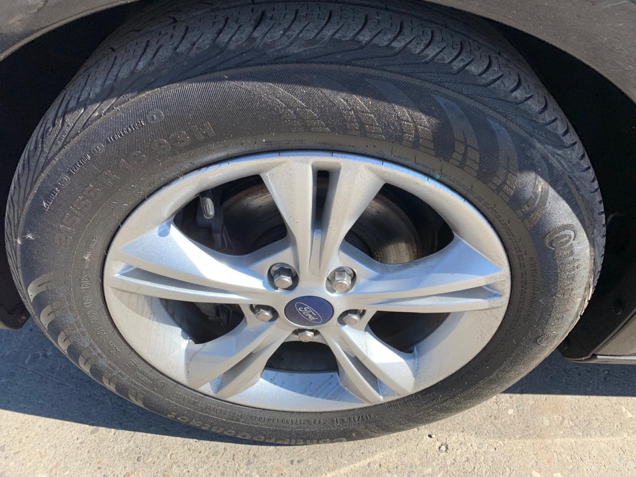 2013 Ford Focus SE Hatch Photo