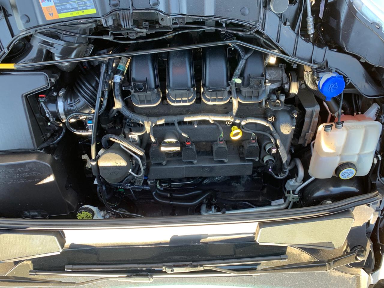 2013 Ford Focus SE Hatch Photo