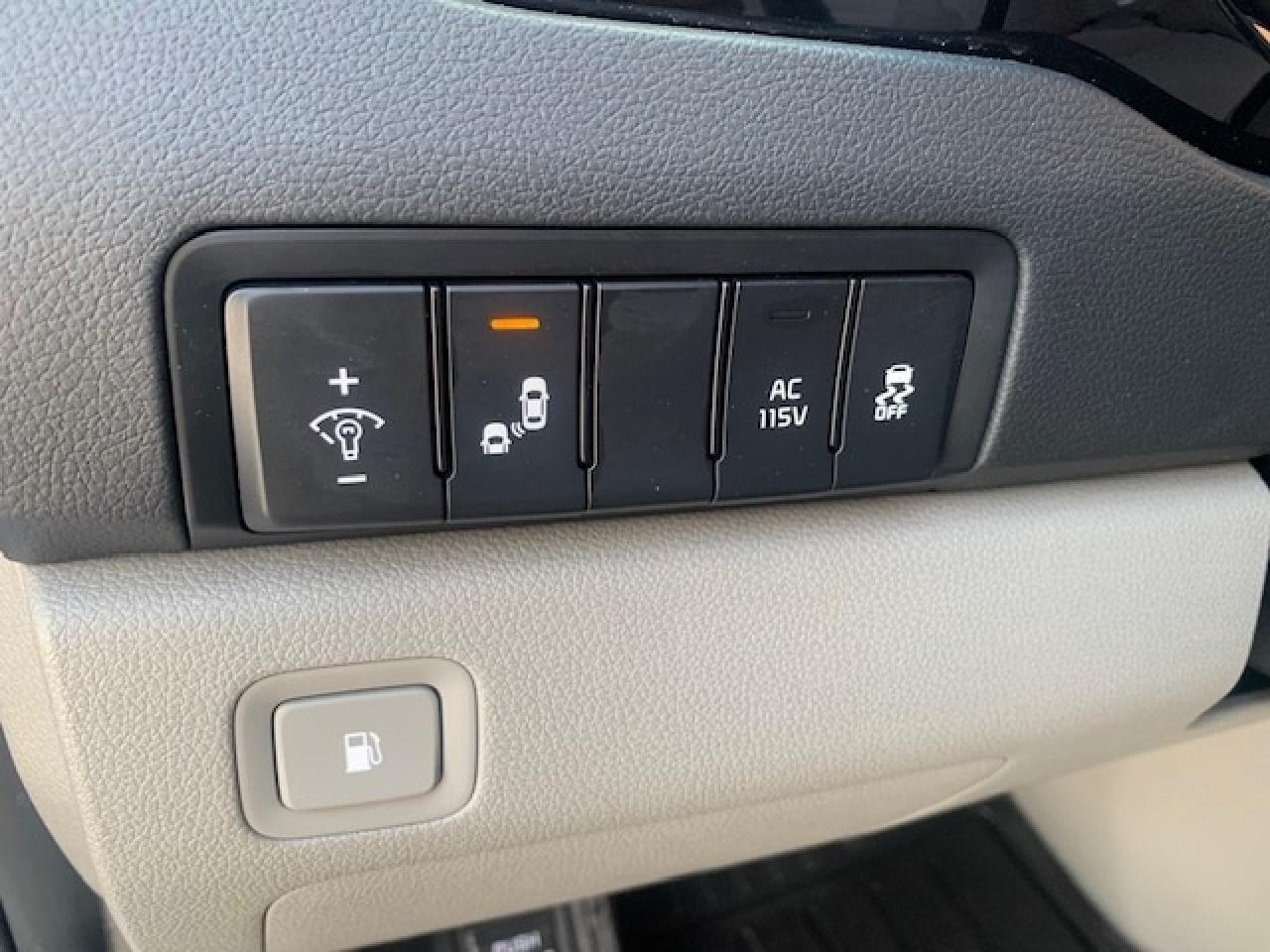 2019 Kia Sedona SX+ Photo