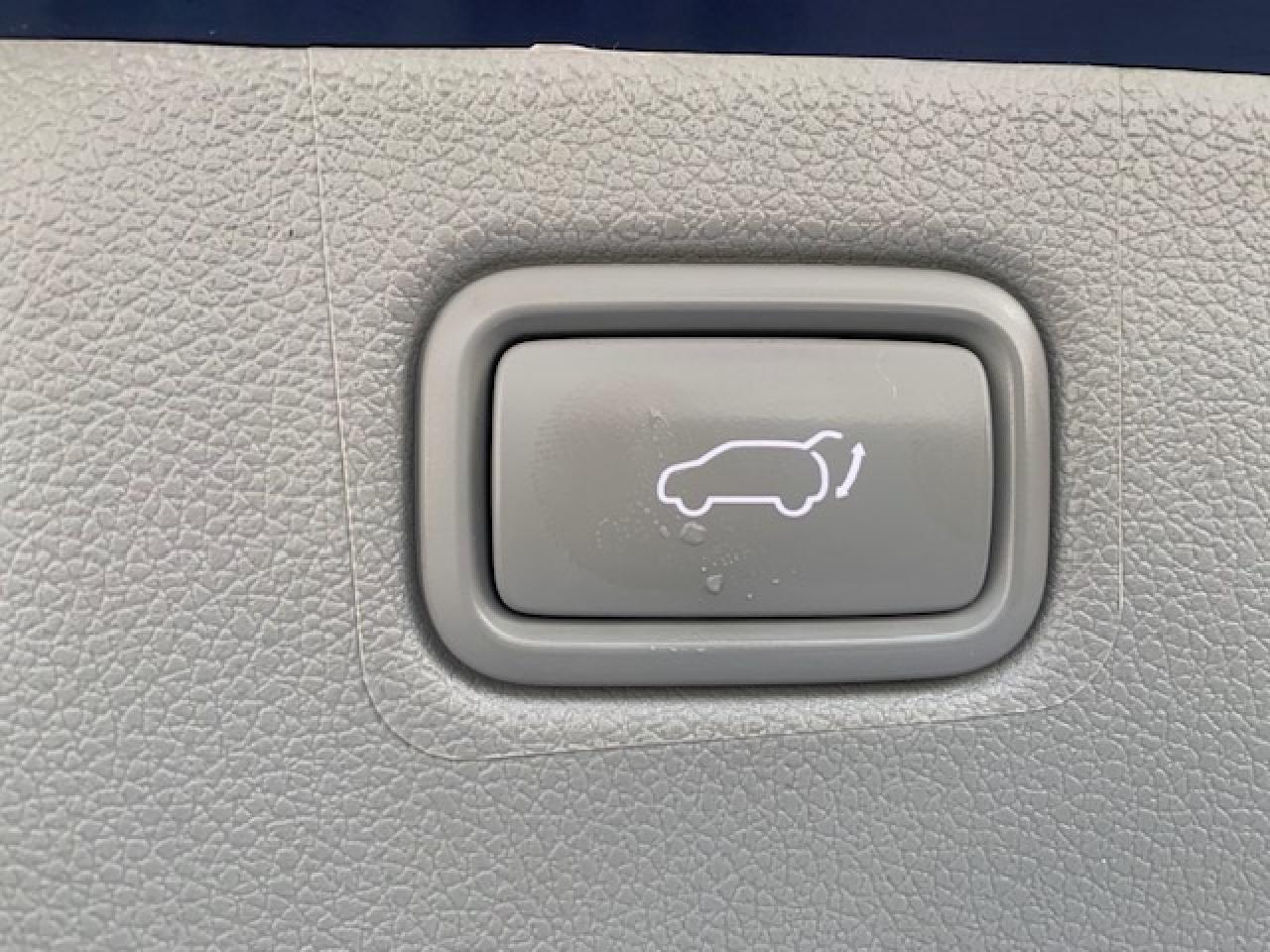 2019 Kia Sedona SX+ Photo