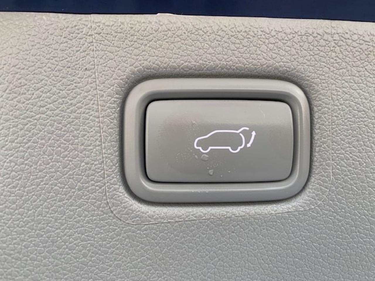 2019 Kia Sedona SX+ Photo