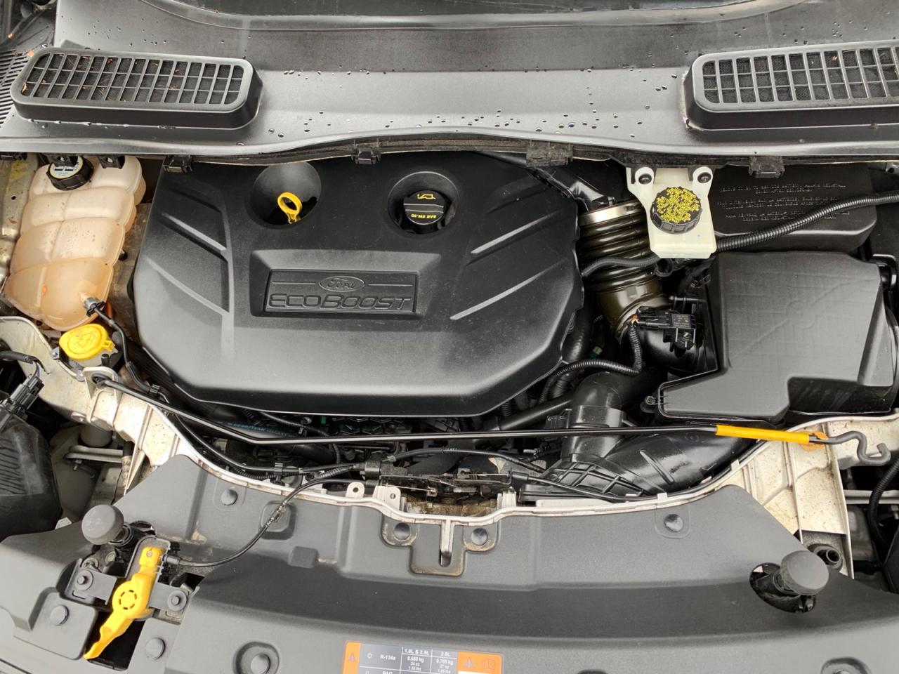 2013 Ford Escape SE 4WD Photo