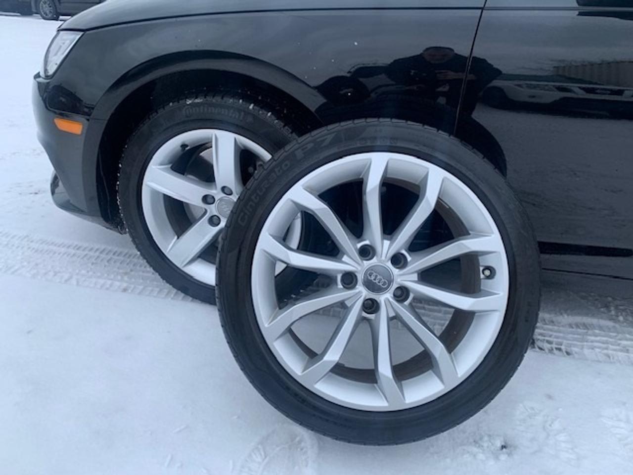 2017 Audi A4 Progressiv Quattro Photo