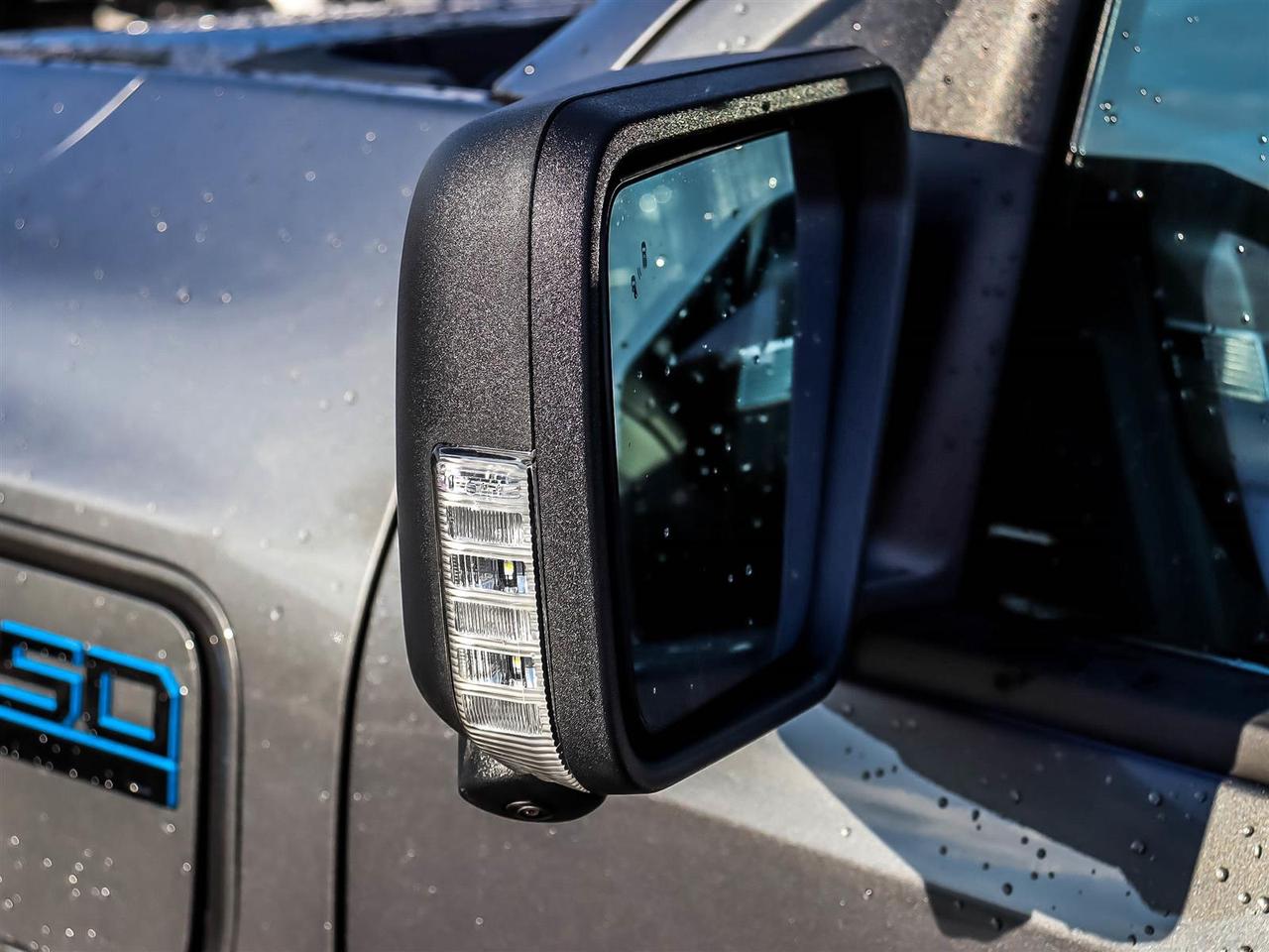 2025 Ford F-150 Lightning XLT Photo