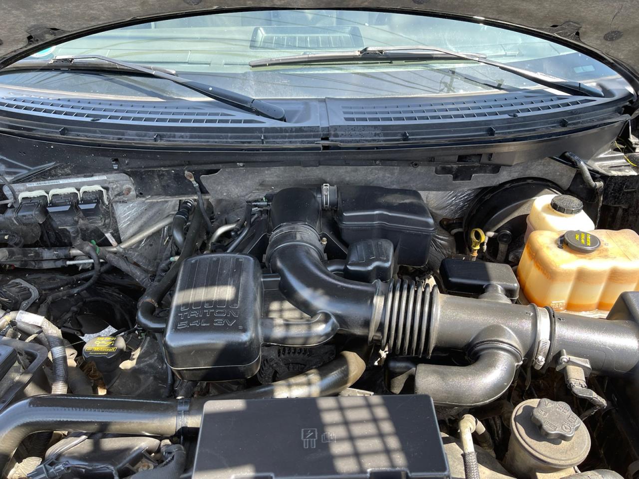 2009 Ford F-150 XLT SuperCrew 6.5-ft. Bed 4WD Photo