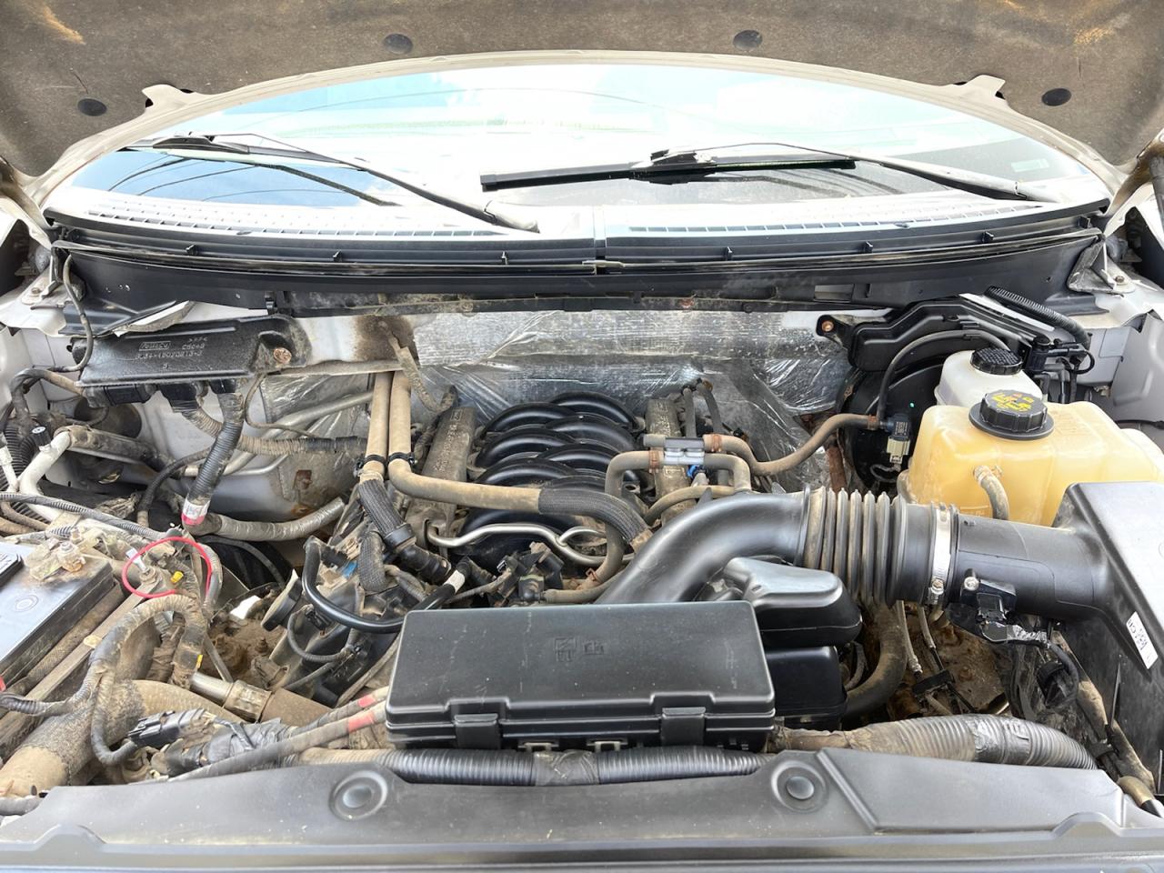 2012 Ford F-150 XLT SuperCab 6.5-ft. Bed 4WD Photo