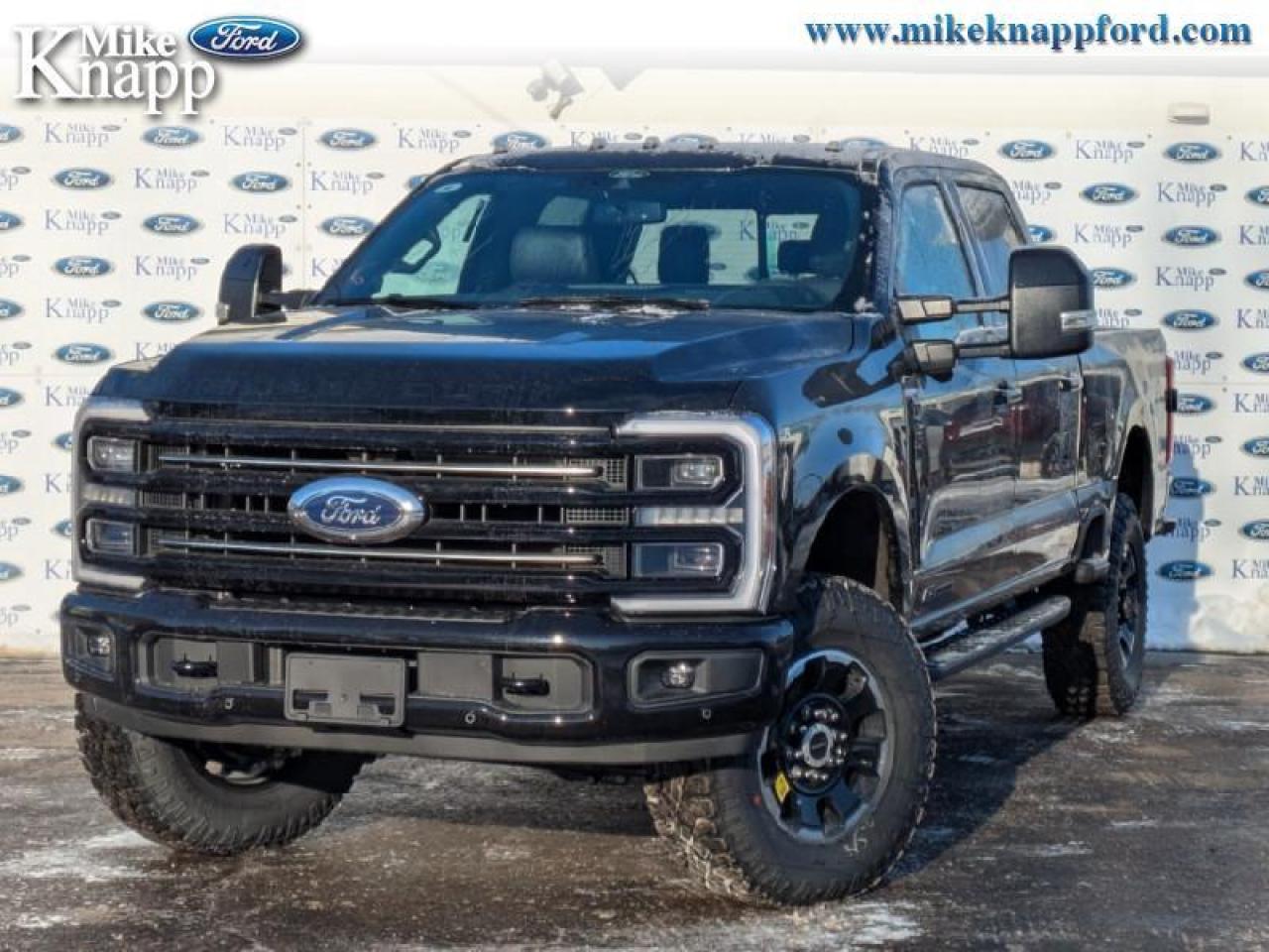 2026 Ford F-250 SUPER DUTY Platinum Photo