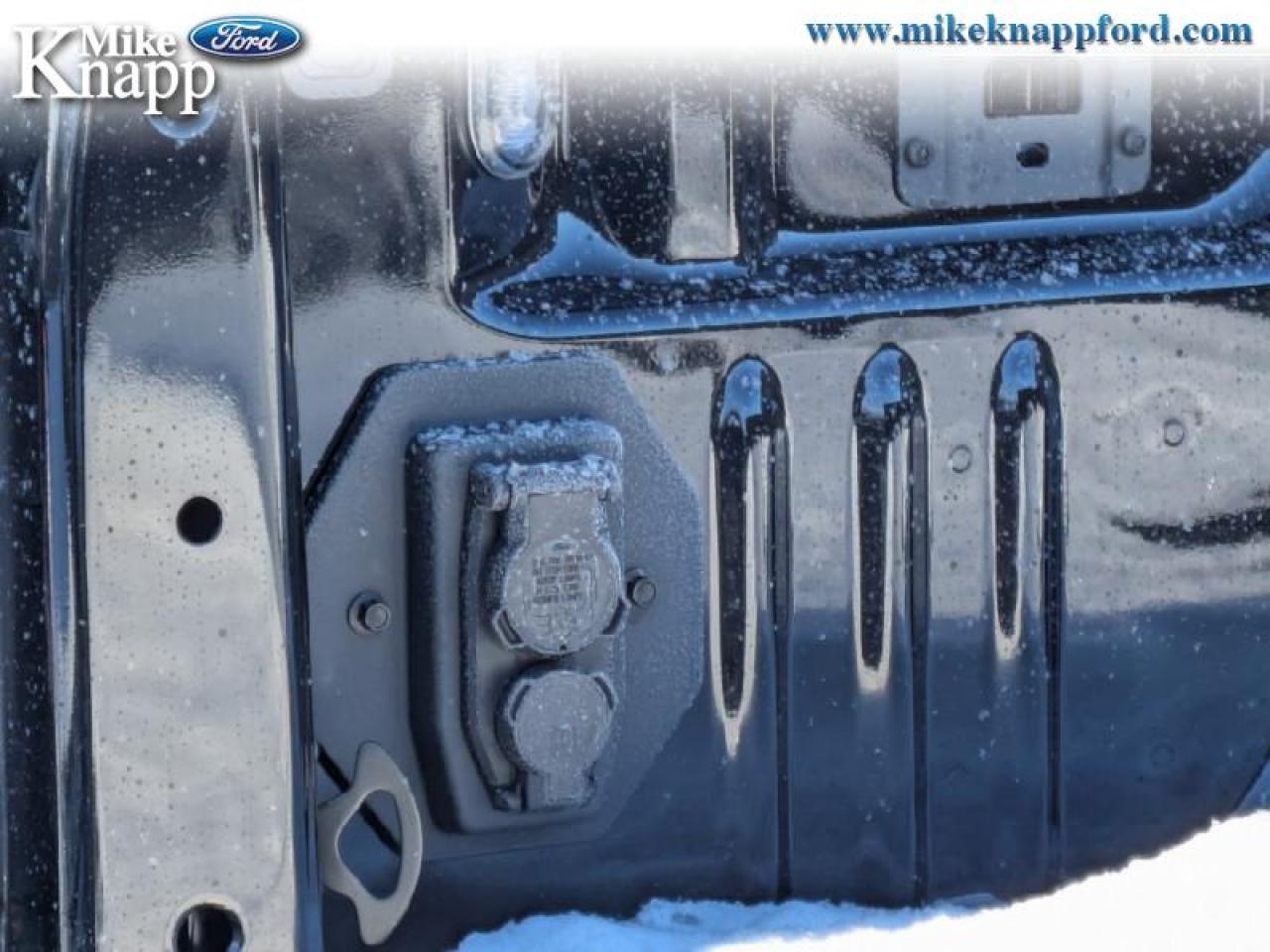 2026 Ford F-250 SUPER DUTY Platinum Photo