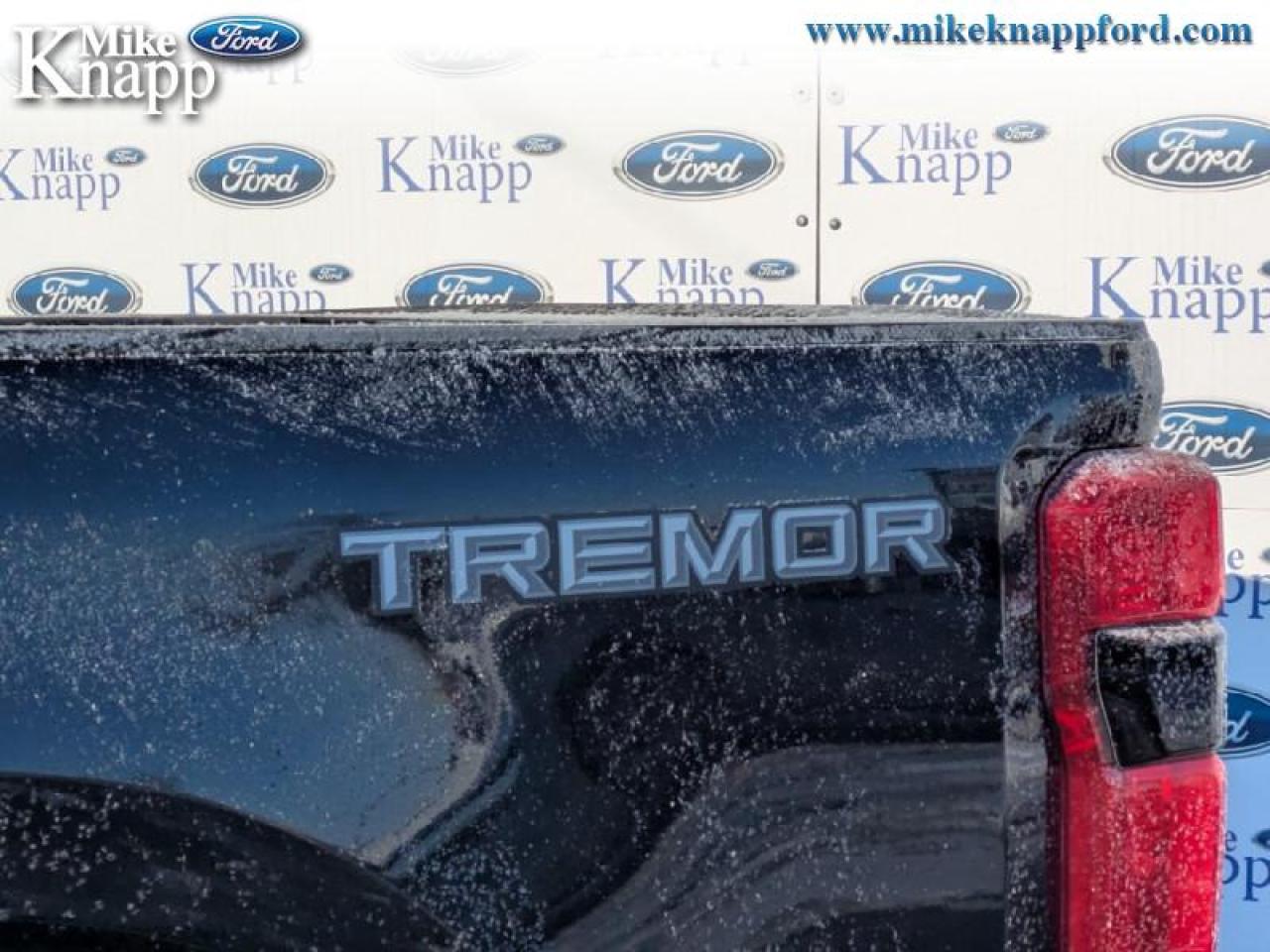 2026 Ford F-250 SUPER DUTY Platinum Photo