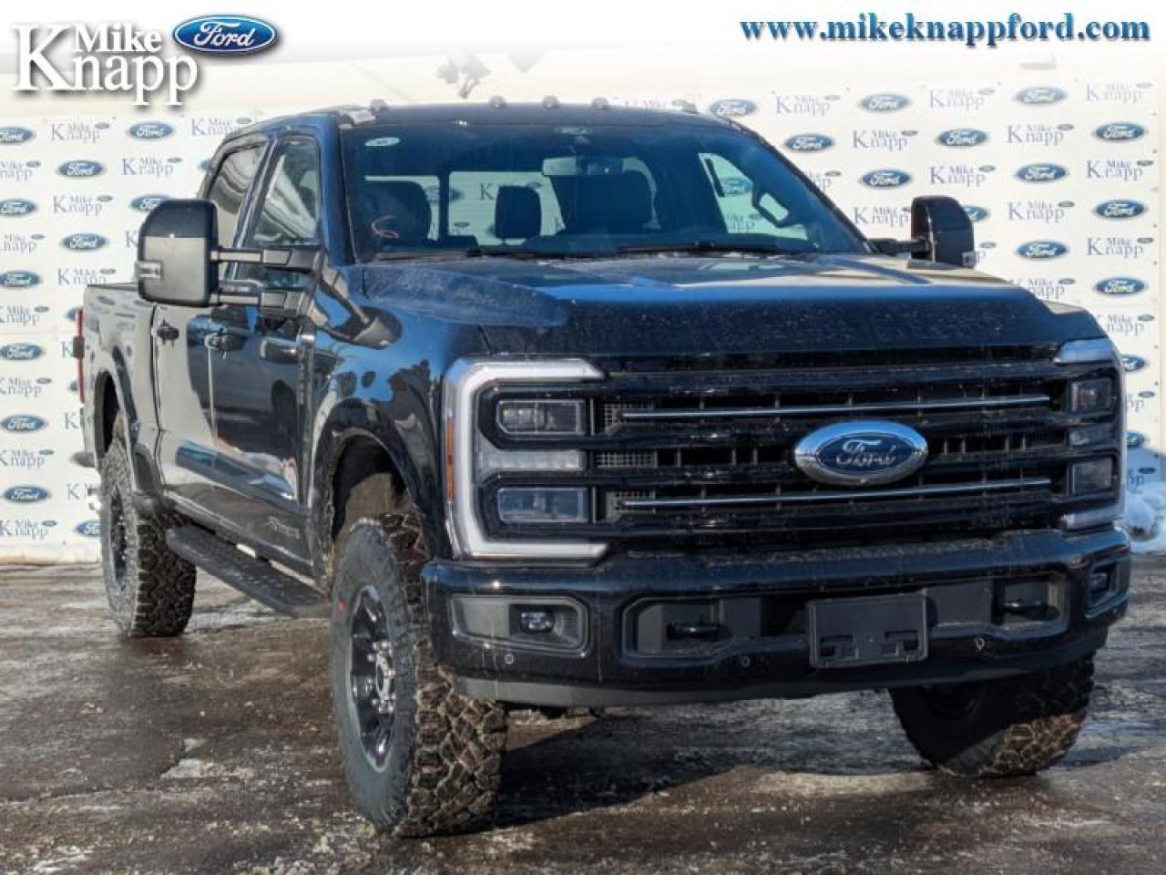 2026 Ford F-250 SUPER DUTY Platinum Photo