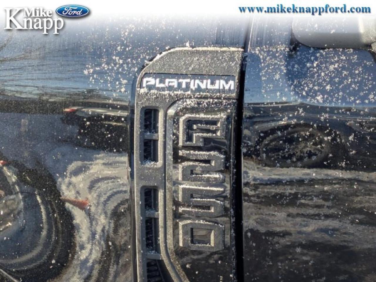 2026 Ford F-250 SUPER DUTY Platinum Photo