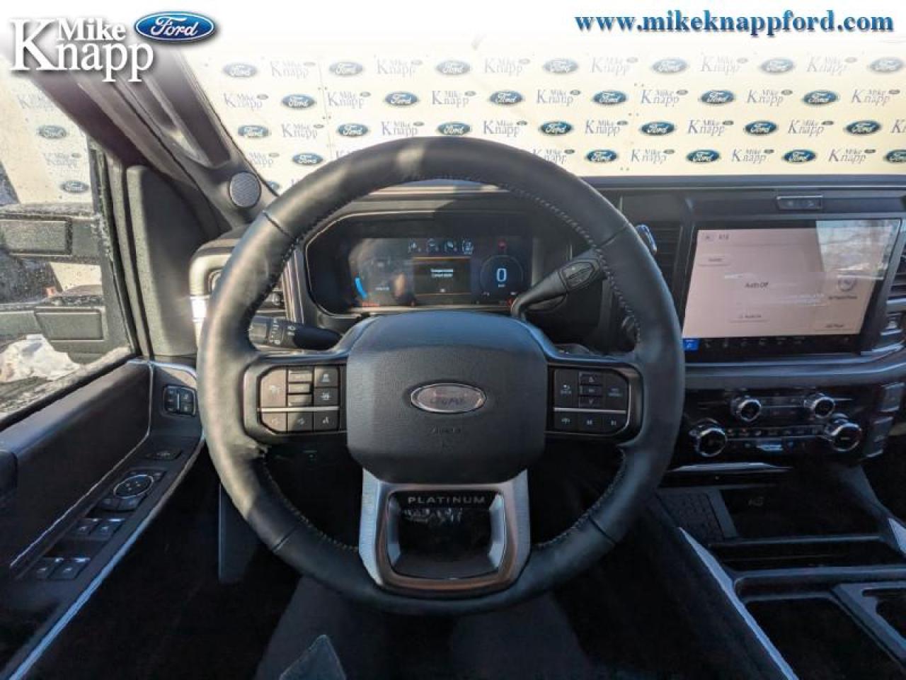 2026 Ford F-250 SUPER DUTY Platinum Photo