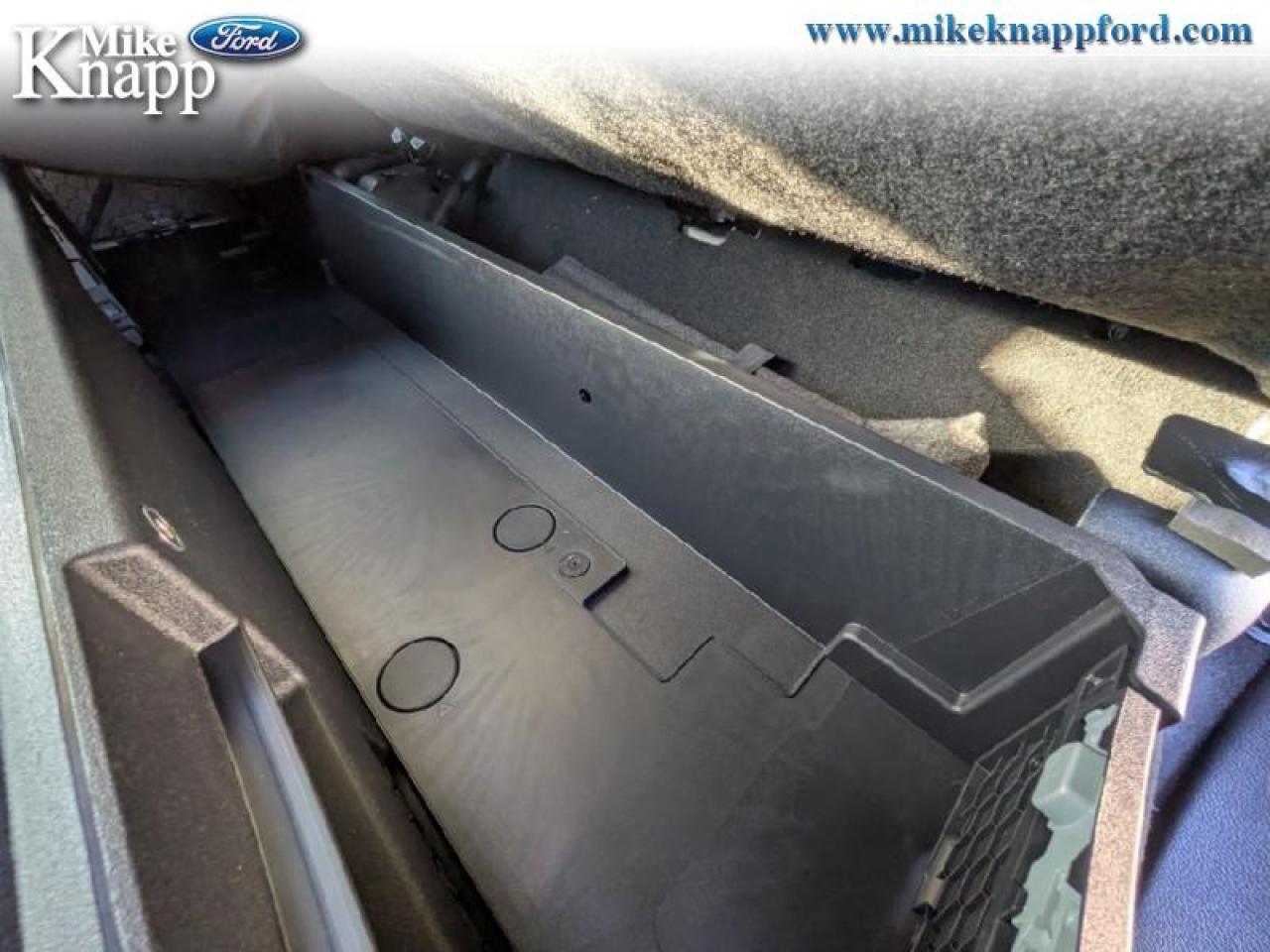 2026 Ford F-250 SUPER DUTY Platinum Photo