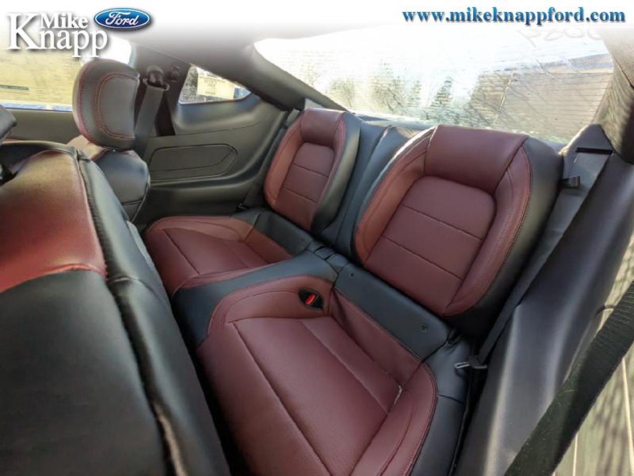 2026 Ford Mustang GT Premium Photo