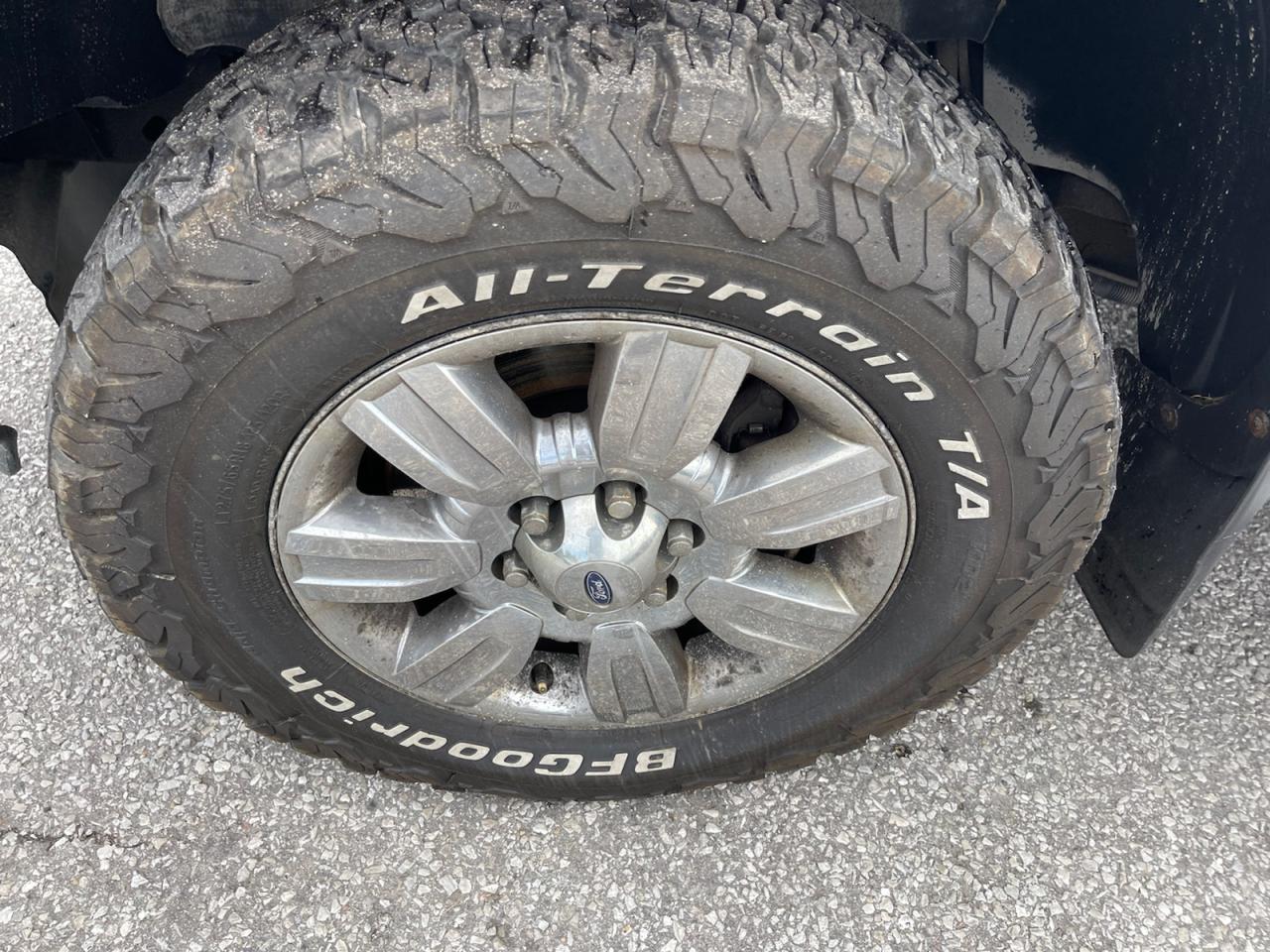 2012 Ford F-150 XLT SuperCrew 5.5-ft. Bed 4WD Photo