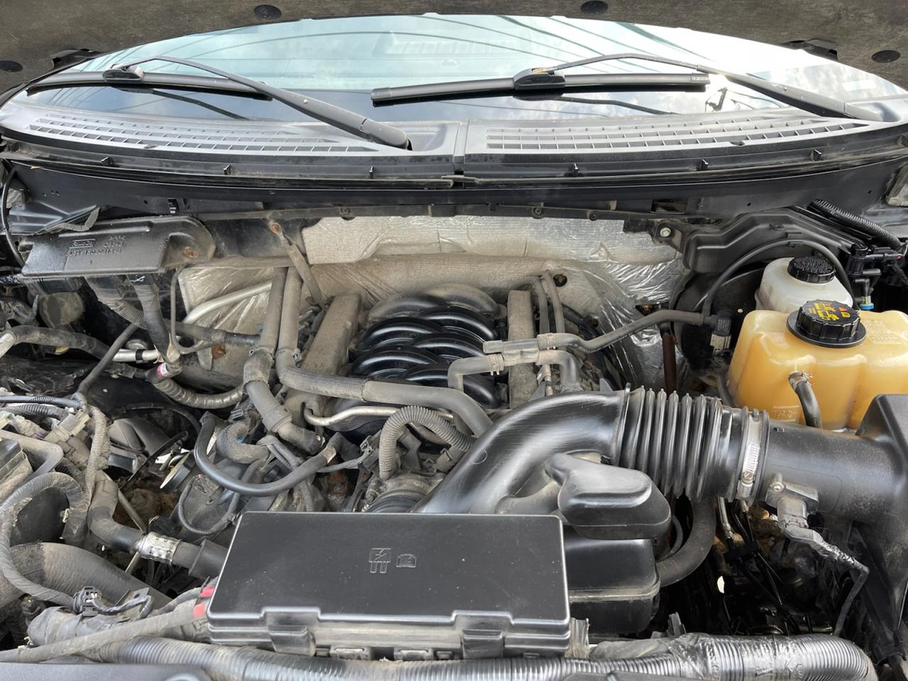 2012 Ford F-150 XLT SuperCab 6.5-ft. Bed 4WD Photo