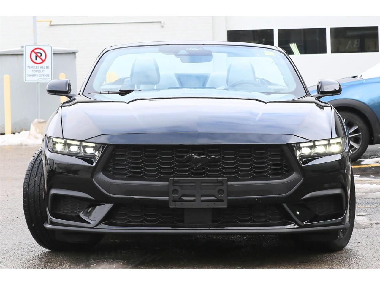 2025 Ford Mustang EcoBoost Premium Convertible Photo