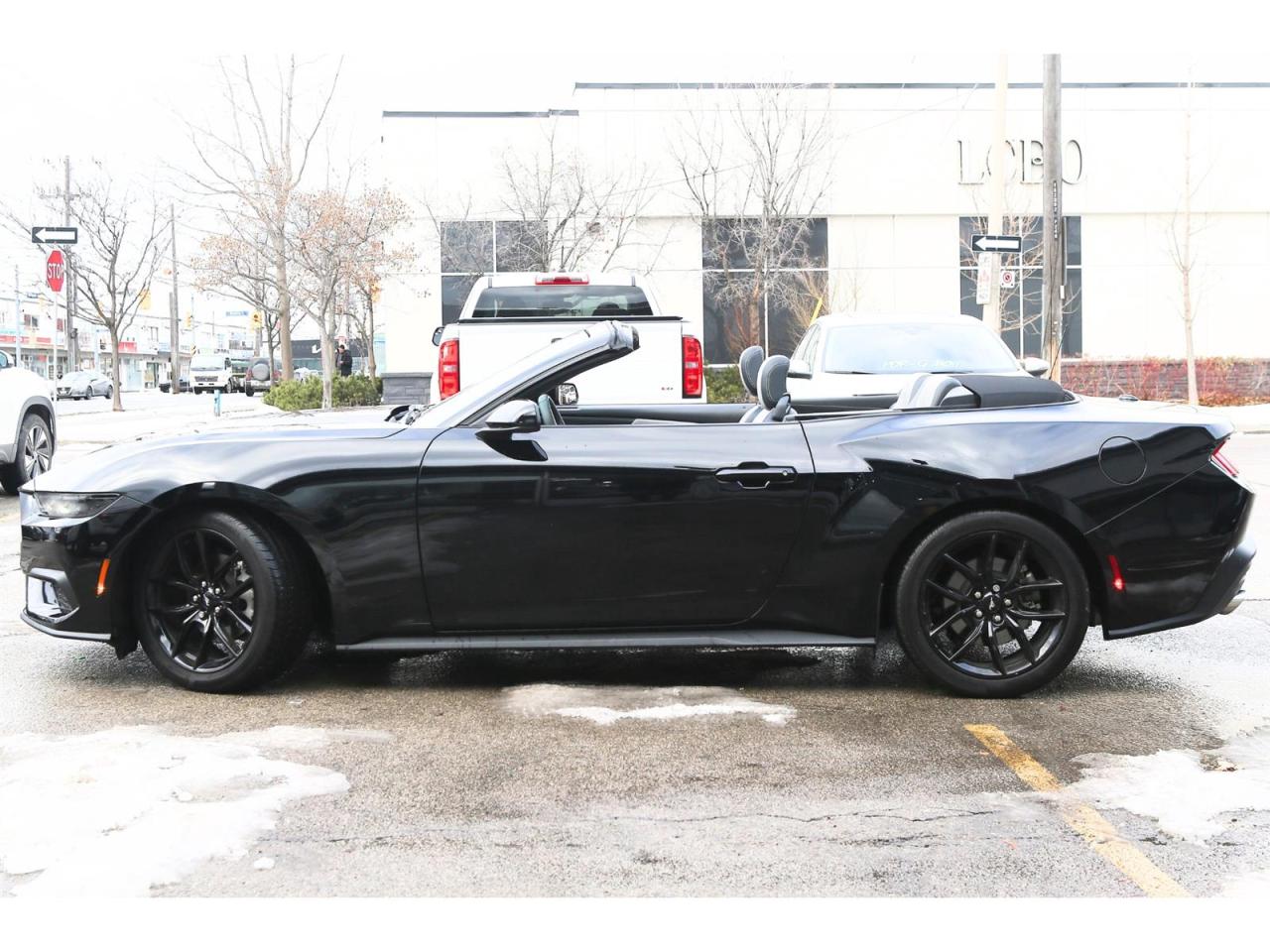 2025 Ford Mustang EcoBoost Premium Convertible Photo