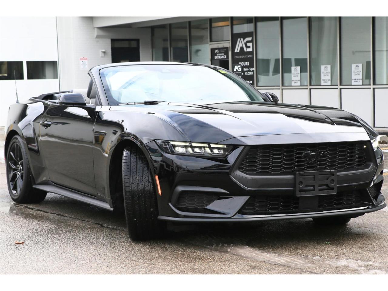 2025 Ford Mustang EcoBoost Premium Convertible Photo