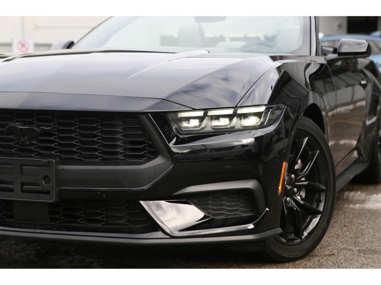 2025 Ford Mustang EcoBoost Premium Convertible Photo