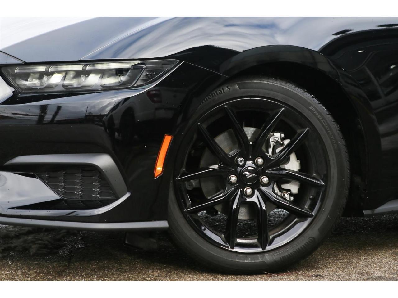 2025 Ford Mustang EcoBoost Premium Convertible Photo