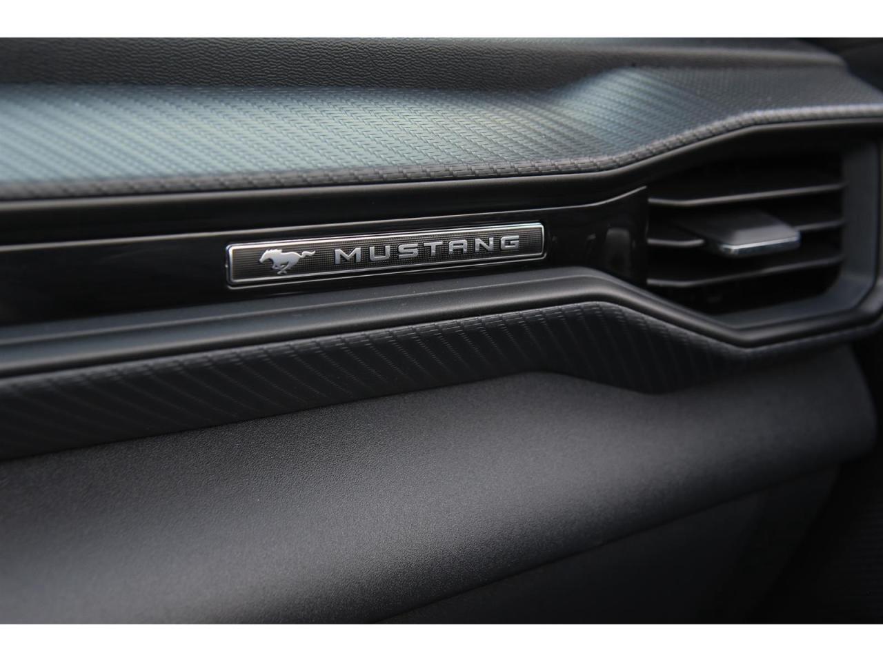 2025 Ford Mustang EcoBoost Premium Convertible Photo