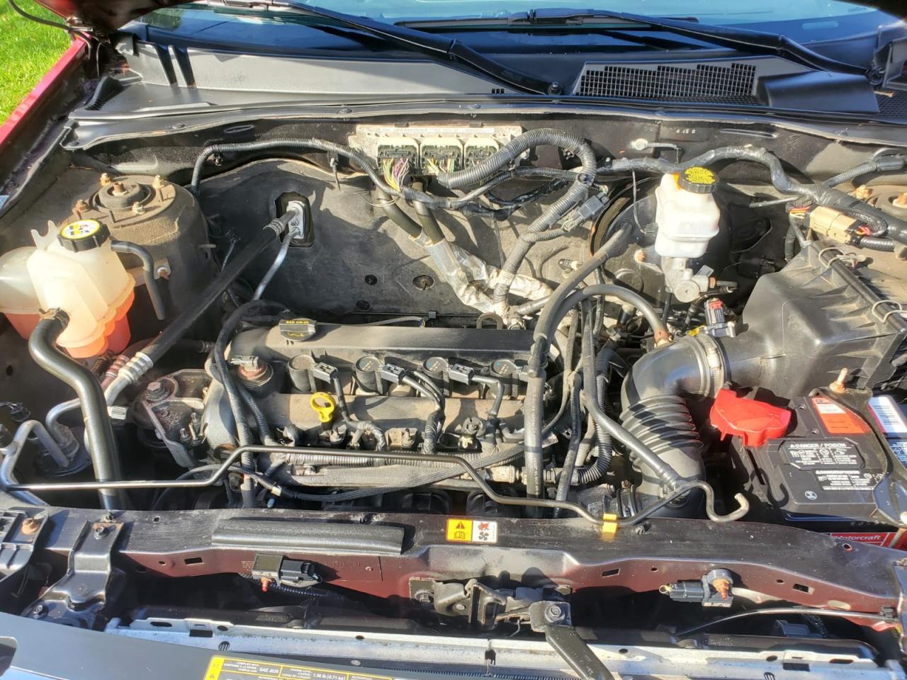 2011 Ford Escape XLT FWD Photo