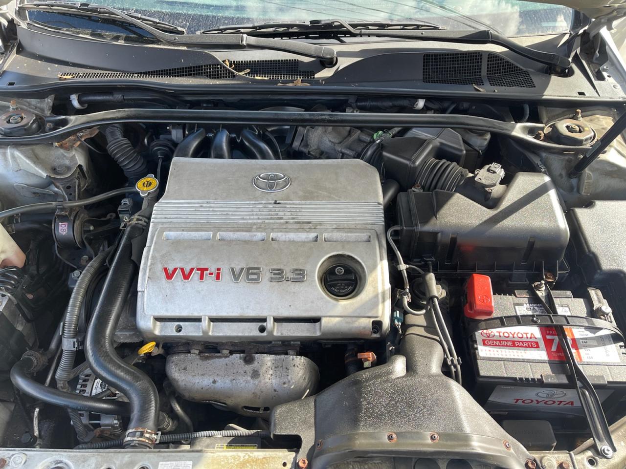 2004 Toyota Solara SLE  Convertible Photo