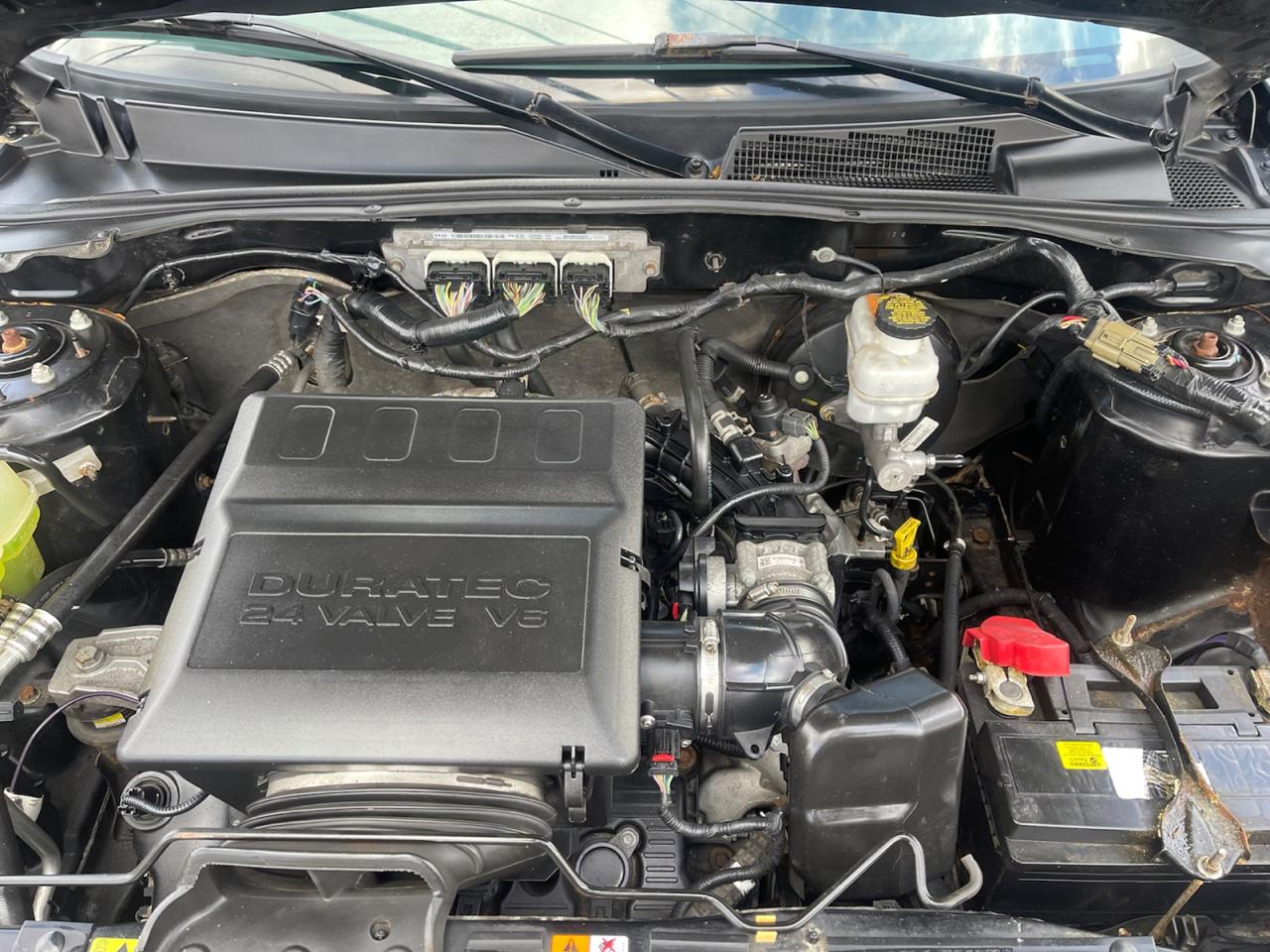 2010 Ford Escape XLT 4WD Photo